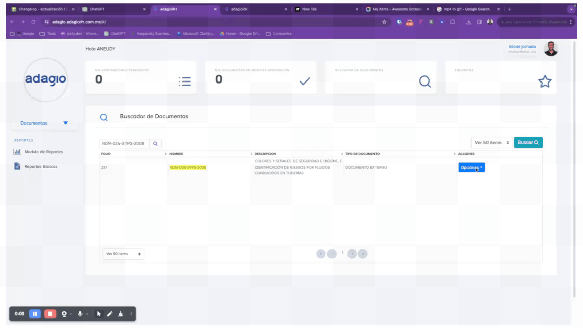 NUEVO VISOR DE PDF